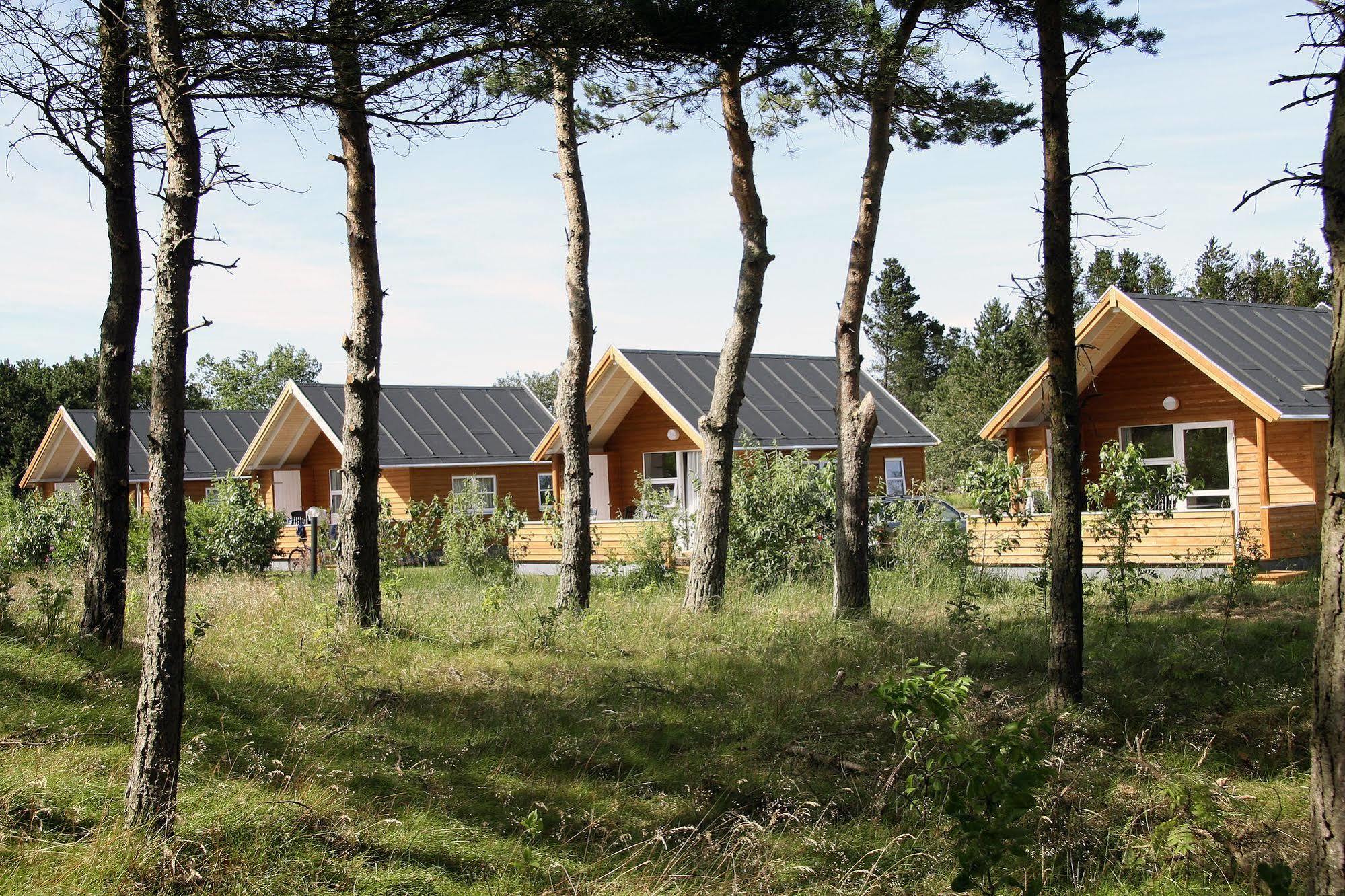 First Camp Rabjerg Mile - Skagen Hotel ภายนอก รูปภาพ